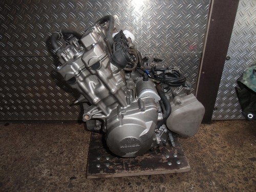 Honda 600 hornet - 600,