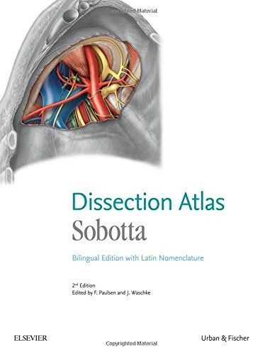 Sobotta dissection atlas - dissection,