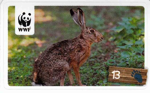Rewe wwf tier - rewe, abenteuer