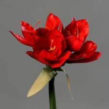 Amaryllis Real Touch 36cm rot