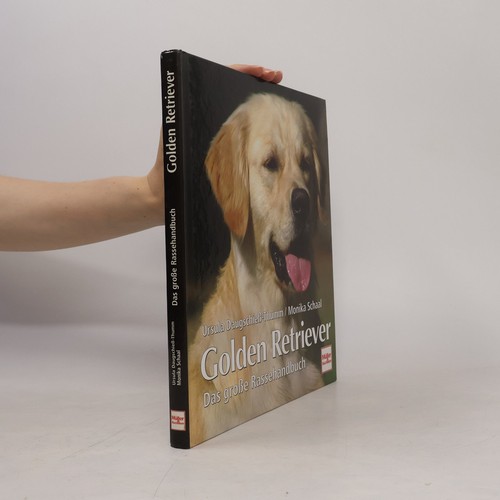 Golden retriever das - retriever:,