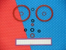 Brühgruppendichtungen von Solis Master Pro Miele Opal Scherer