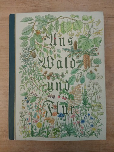 Aus wald flur pflanzen - aus,