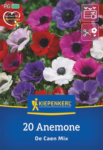 Kiepenkerl kronen anemonen - kiepenkerl, kronen-anemonen