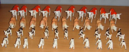 Kühe und kälber tiere - 40,