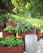 Edelrost Pflanzring 40 cm Pflanzringe Hochbeet Pflanzgefäße Pflanzkübel Metall