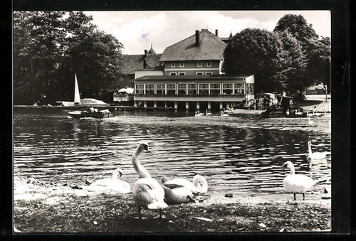 Caputh gaststätte und café - gaststätte,