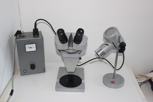Stereomikroskop leitz - stereomikroskop,