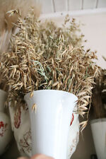 5 Ährensorten Hafer Gerste