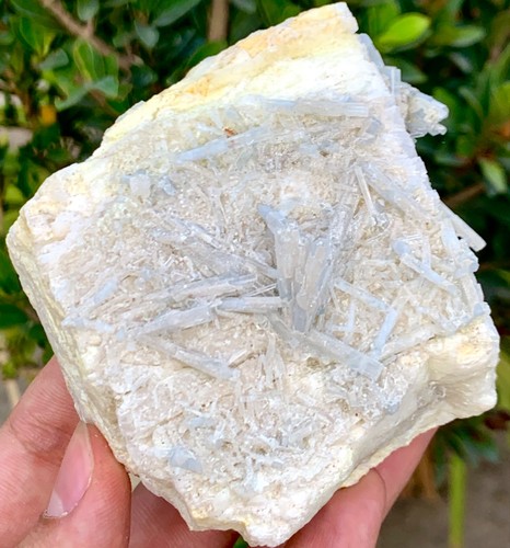 378 gramm natürliche goshenit - 378,