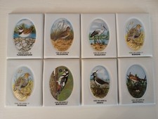 8 Sammelteller  Porzellan