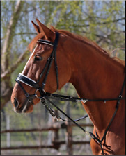 Velicea  hochw. Thiedemann Kombination, Vorderzeug, One size Schwarz, ohne Zügel
