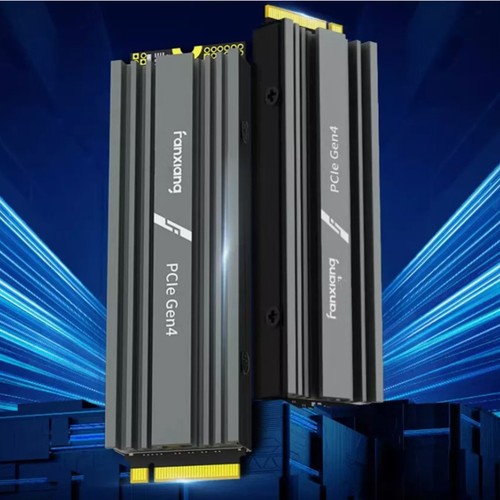 Fanxiang nvme ssd für ps5 - ssd,