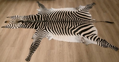 Bergzebra hartmann zebrafell - bergzebra,