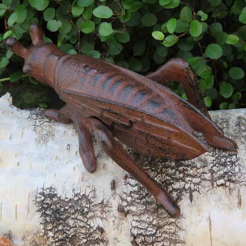 Heuschrecke gusseisen insekten - heuschrecke,
