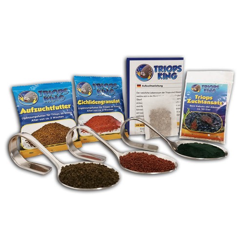 Triops beni kabuto ebi albino - triops,