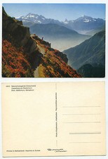 23976 - Naturschutzgebiet Aletschwald - Casselweg am Riederhorn - alte AK