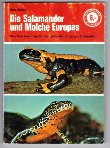 Die salamander und - die,