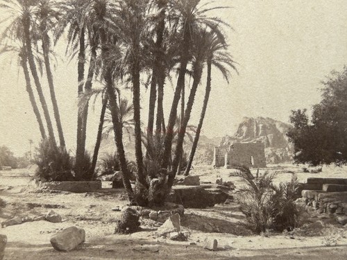 ägypten palmen und tempel - palmen,