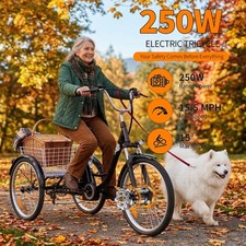 Elektrische dreirad 24 Zoll