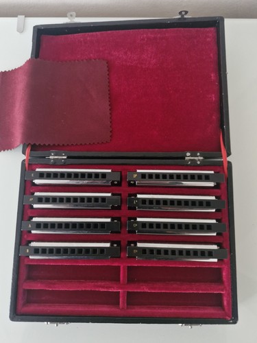 Harley benton blues harp set - ,