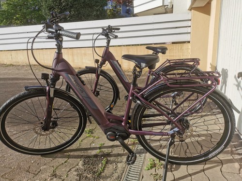 Pedelec pegasus solero evo - pegasus,