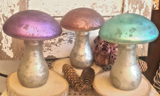 Pilze Pilz Glas Bauernsilber