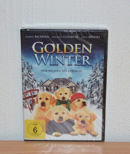 Golden winter wir suchen - winter,