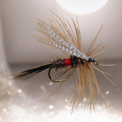 10er set nymphen fliegen - 10er,