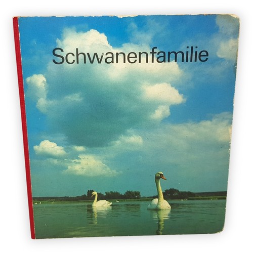 Schwanenfamilie hans werner - schwanenfamilie,