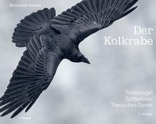 Der Kolkrabe - Totenvogel