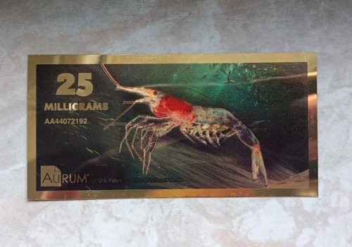 Gold aurum note shrimp - 25, mg