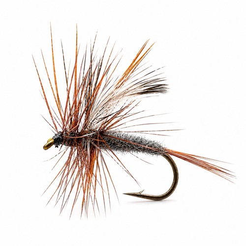 Adams trockenfliege zum - 3x,