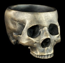 Totenkopf ohne Schädeldecke