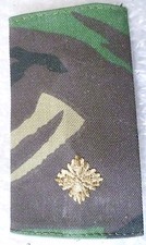 Patch - British Army Issue Second Lieutenant's Woodland Combat Rank Slide gebraucht