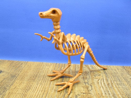 Dinosaurier skelett aus 70605 - aus,