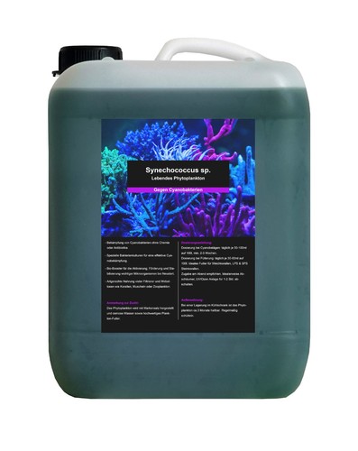 Liter phytoplankton - 5,5,