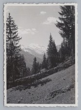 Bad Gastein 1944 - Alm