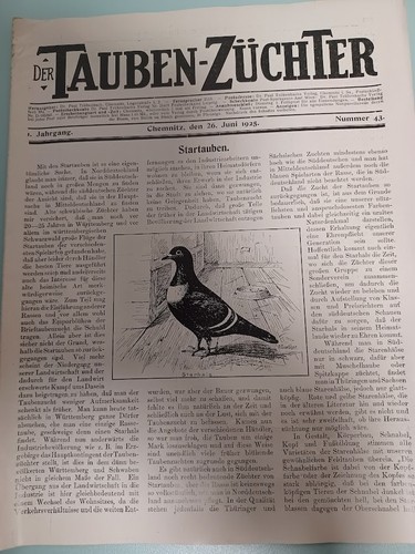 Der tauben züchter dr - der,