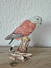 Goebel Falke Turmfalke Vogel