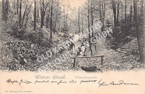Postkarte weißer hirsch - hirsch,