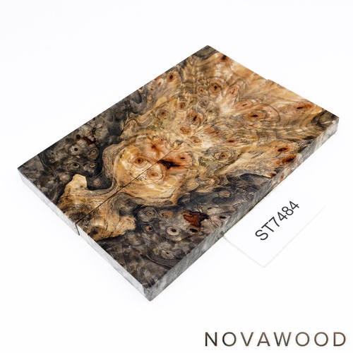 Buckeye burl kastanie maser - burl,