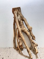 Talawa Wurzel XXL ähnlich