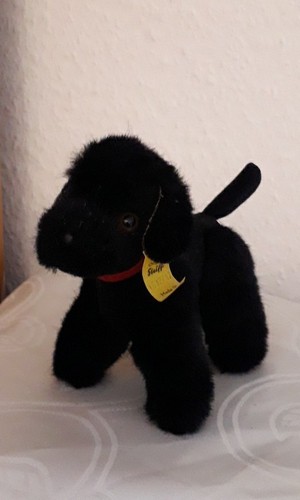 Steiff pudel blacky - , 1532/12
