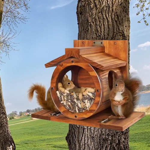 Eichhörnchen wetterfest