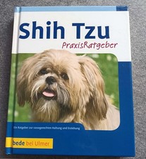 Juliette Cunliffe - Shih Tzu -