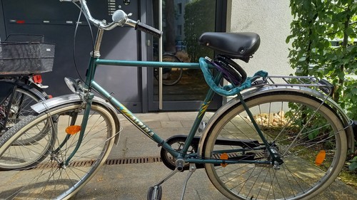 Fahrrad alpina 90iger grün - 90iger,