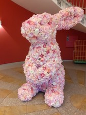 vorwerk Tiger 260. E Schlauch.