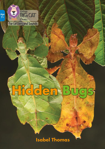 Hidden bugs band - hidden,