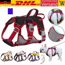 Hundegeschirr Anti-Zug